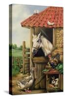 Farmyard Friends-Carl Donner-Stretched Canvas