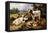 Farmyard Friends-Walter Hunt-Framed Stretched Canvas