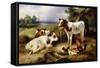 Farmyard Friends-Walter Hunt-Framed Stretched Canvas