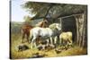 Farmyard Friends-John Frederick Herring II-Stretched Canvas