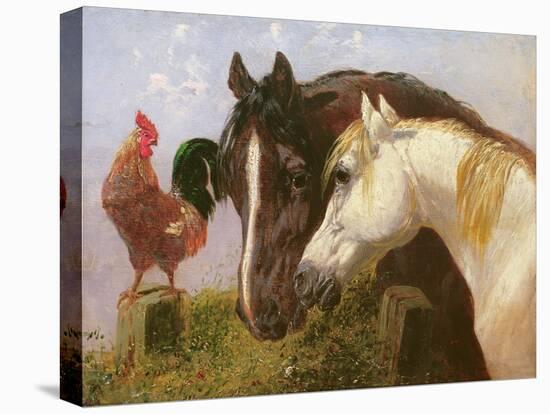 Farmyard Friends-John Frederick Herring Jnr-Stretched Canvas