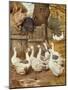 Farmyard Friends-William Weekes-Mounted Giclee Print