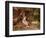 Farmyard Scene-Jan David Cole-Framed Giclee Print