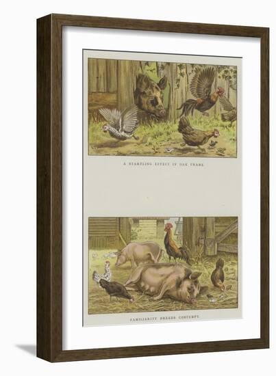 Farmyard Scenes-S.t. Dadd-Framed Giclee Print