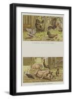 Farmyard Scenes-S.t. Dadd-Framed Giclee Print