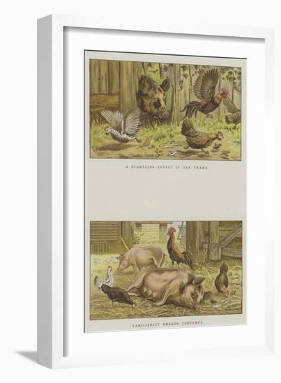 Farmyard Scenes-S.t. Dadd-Framed Giclee Print