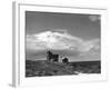 Farne Islands Tower-null-Framed Photographic Print