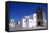 Faro Cathedral with Gothic Foundations and Renaissance Interior-null-Framed Stretched Canvas