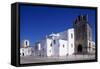 Faro Cathedral with Gothic Foundations and Renaissance Interior-null-Framed Stretched Canvas