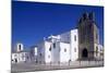 Faro Cathedral with Gothic Foundations and Renaissance Interior-null-Mounted Giclee Print