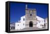 Faro Cathedral with Gothic Foundations and Renaissance Interior-null-Framed Stretched Canvas