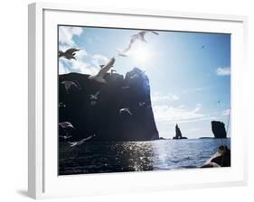 Faroe Islands, Denmark, North Atlantic-Adam Woolfitt-Framed Photographic Print