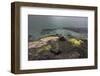 Faroes, coast, waves, rocks, abstract-olbor-Framed Photographic Print