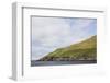 Faroes, Hestur, island-olbor-Framed Photographic Print