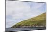 Faroes, Hestur, island-olbor-Mounted Photographic Print