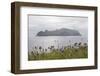 Faroes, island, Mykines-olbor-Framed Photographic Print