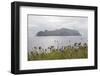 Faroes, island, Mykines-olbor-Framed Photographic Print