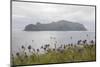 Faroes, island, Mykines-olbor-Mounted Photographic Print