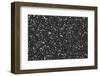 Faroes, macro, beach, detail-olbor-Framed Photographic Print