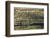 Faroes, mountainside, structure-olbor-Framed Photographic Print