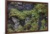 Faroes, rocks, vegetation-olbor-Framed Photographic Print