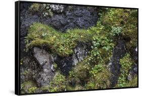 Faroes, rocks, vegetation-olbor-Framed Stretched Canvas