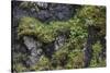 Faroes, rocks, vegetation-olbor-Stretched Canvas