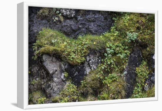 Faroes, rocks, vegetation-olbor-Framed Photographic Print