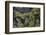 Faroes, rocks, vegetation-olbor-Framed Photographic Print