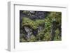 Faroes, rocks, vegetation-olbor-Framed Photographic Print