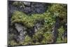 Faroes, rocks, vegetation-olbor-Mounted Photographic Print