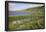 Faroes, Sandoy, field-olbor-Framed Photographic Print