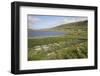 Faroes, Sandoy, field-olbor-Framed Photographic Print