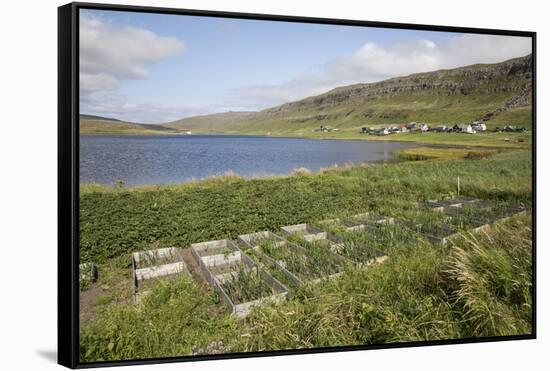 Faroes, Sandoy, field-olbor-Framed Stretched Canvas