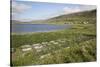 Faroes, Sandoy, field-olbor-Stretched Canvas