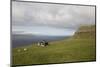 Faroes, Sandoy, house-olbor-Mounted Photographic Print