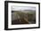 Faroes, Sandoy, street, cattle grid-olbor-Framed Photographic Print