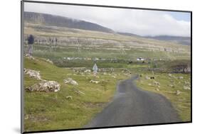 Faroes, Sandoy, street-olbor-Mounted Photographic Print