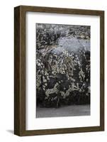 Faroes, shores, barnacles-olbor-Framed Photographic Print