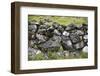 Faroes, stone wall-olbor-Framed Photographic Print