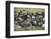 Faroes, stone wall-olbor-Framed Photographic Print