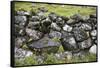 Faroes, stone wall-olbor-Framed Stretched Canvas