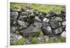 Faroes, stone wall-olbor-Framed Photographic Print