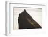 Faroes, Tindholmur, summit, detail-olbor-Framed Photographic Print