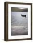 Faroes, Vagar, Bour, boat-olbor-Framed Photographic Print