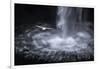 Faroes, Vagar, Gasadalur, fulmar, Fulmarus glacialis, waterfall-olbor-Framed Photographic Print