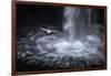 Faroes, Vagar, Gasadalur, fulmar, Fulmarus glacialis, waterfall-olbor-Framed Photographic Print