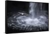 Faroes, Vagar, Gasadalur, fulmar, Fulmarus glacialis, waterfall-olbor-Framed Stretched Canvas