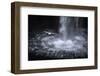 Faroes, Vagar, Gasadalur, fulmar, Fulmarus glacialis, waterfall-olbor-Framed Photographic Print