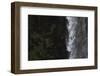 Faroes, Vagar, Gasadalur, puffin, Fratercula arctica, waterfall-olbor-Framed Photographic Print